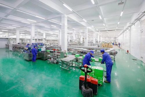 数字化支撑阳光工厂 吾尚乳酸菌的技术开发之路